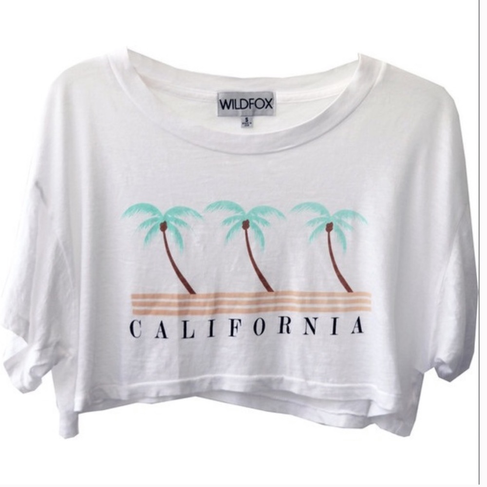 SOFT☁️Wildfox California Coast Cabana Crop Tee